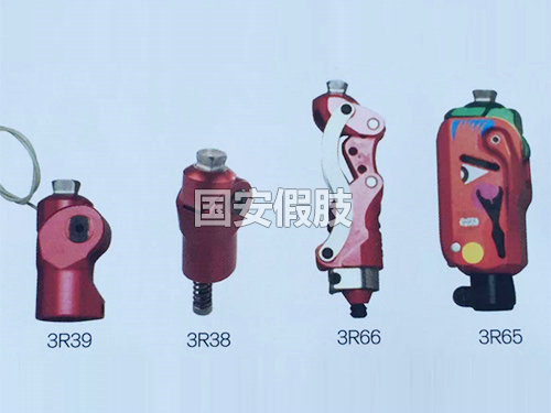 兒童關節(jié)