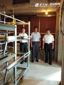 全市獸用抗菌藥使用減量化行動(dòng)試點(diǎn)啟動(dòng)儀式在莒縣舉行