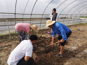 如東縣農(nóng)業(yè)農(nóng)村局種植業(yè)條線戰(zhàn)高溫開(kāi)展系列志愿服務(wù)活動(dòng)助農(nóng)增收