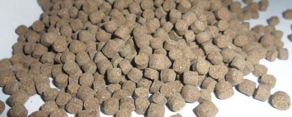 綠色食品動物養殖允許使用的動物源性飼料包括