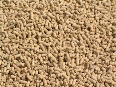 青州市六豐牧業官方-問一問!【乳豬濃縮飼料生產廠家】哪家靠譜?-六豐、反芻動物營養、肉牛羊飼料、肉牛養殖、肉羊養殖、反芻飼料、