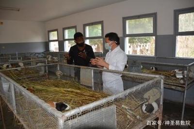 以工代訓--中國農業援非專家在莫桑比克的培訓模式