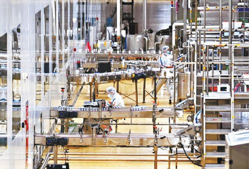 飼料科在武漢市農(nóng)業(yè)發(fā)展中的角色與職能