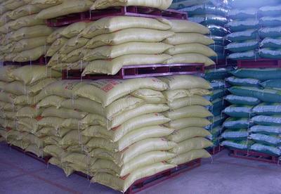 科鑫553生長肥育豬配合飼料 助力高效養殖的科學選擇